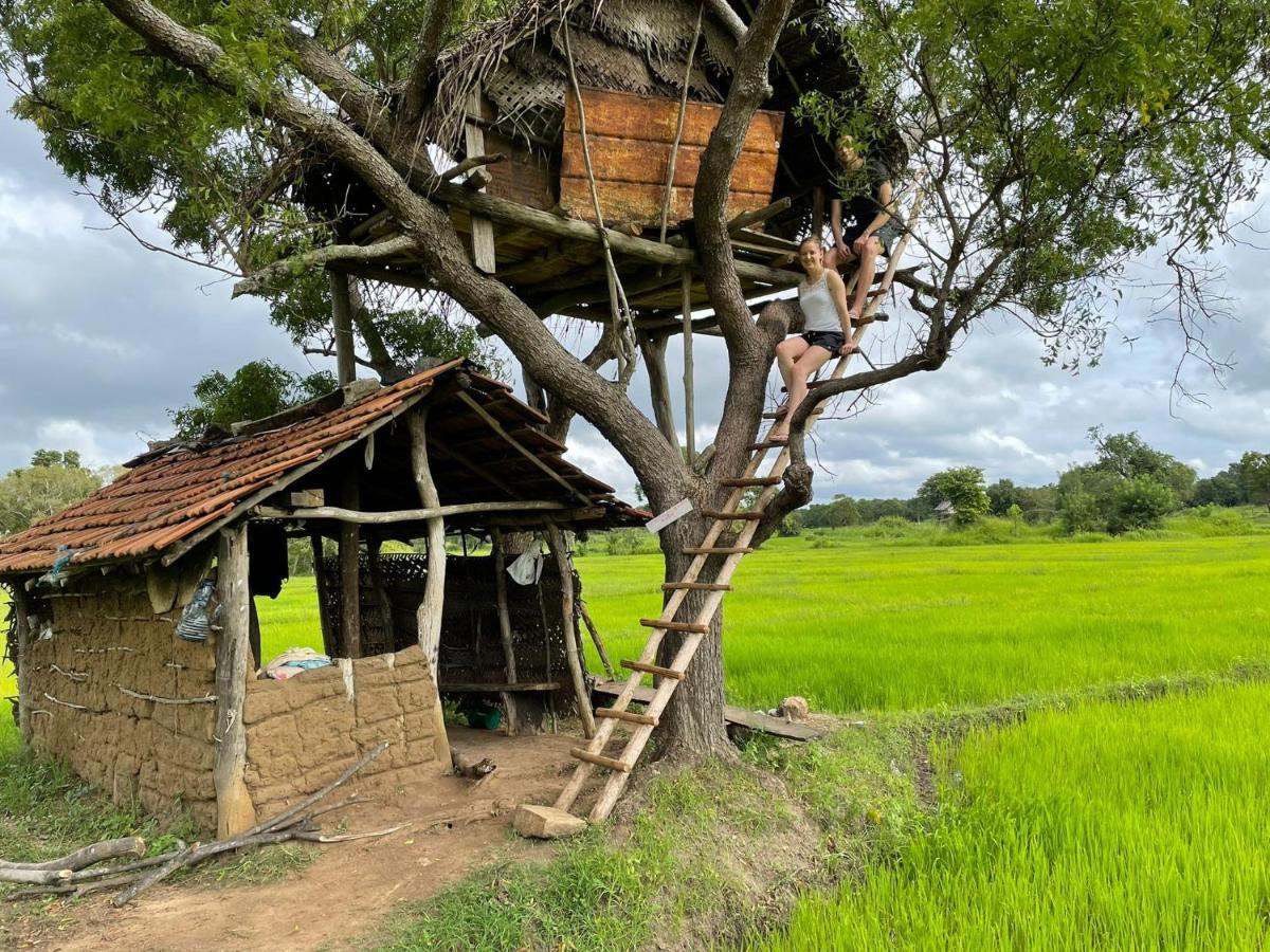 Thilina Homestay Sigiriya Eksteriør billede