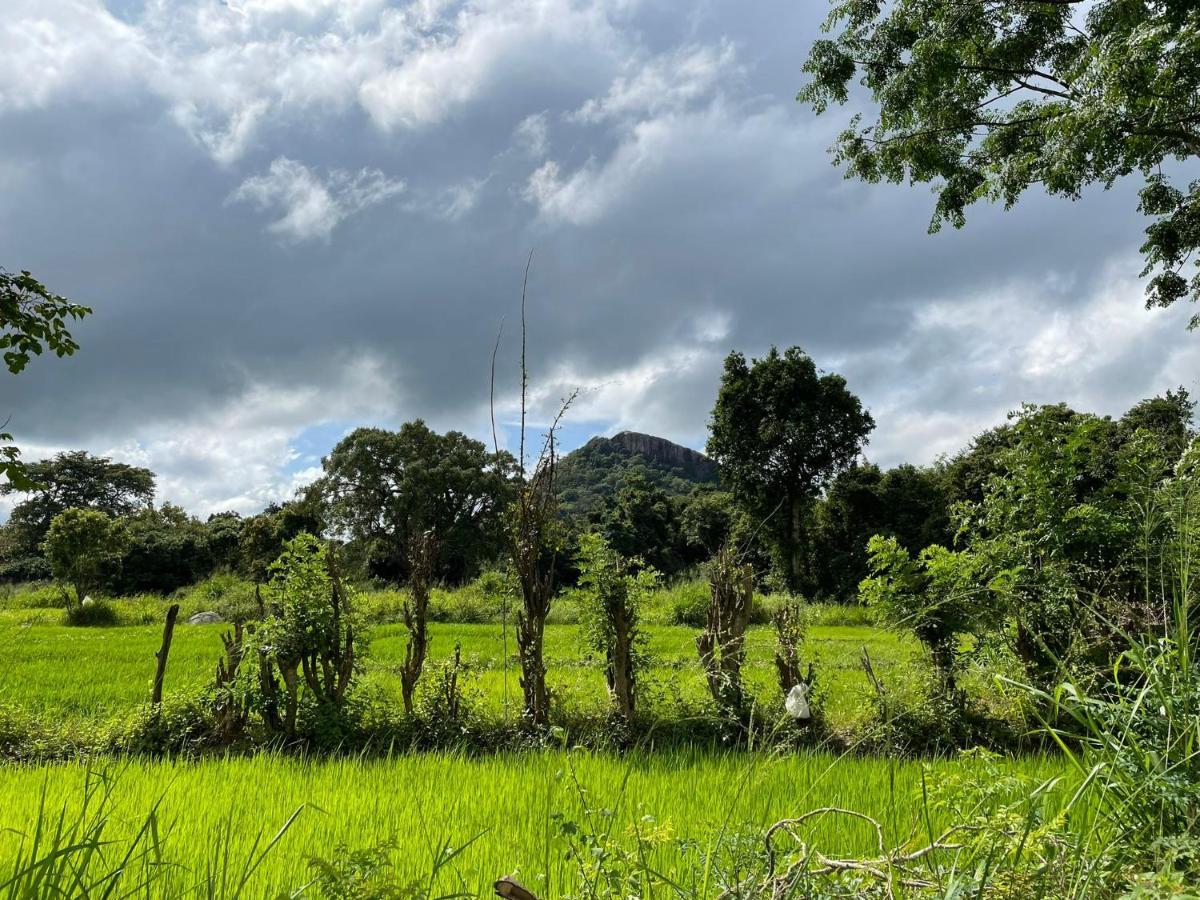 Thilina Homestay Sigiriya Eksteriør billede