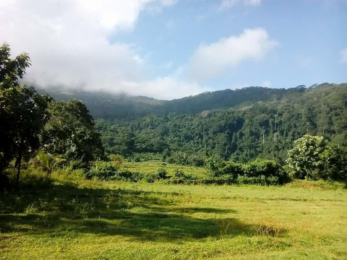 Thilina Homestay Sigiriya Eksteriør billede